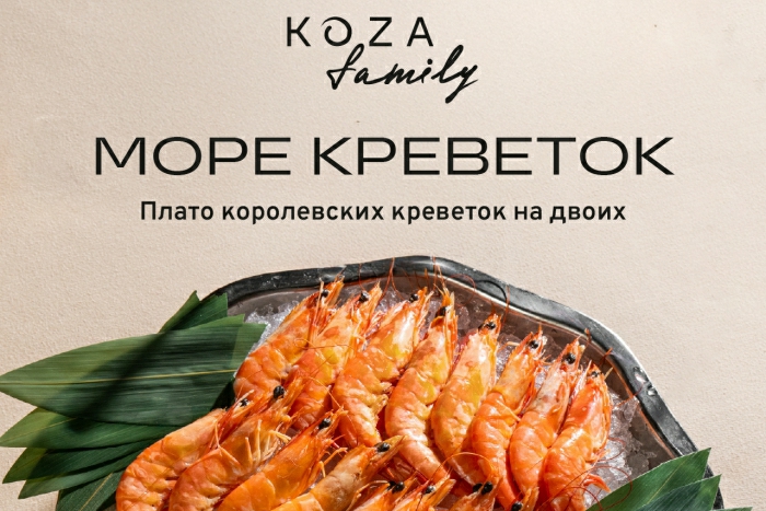 Море креветок в KOZA family🦐